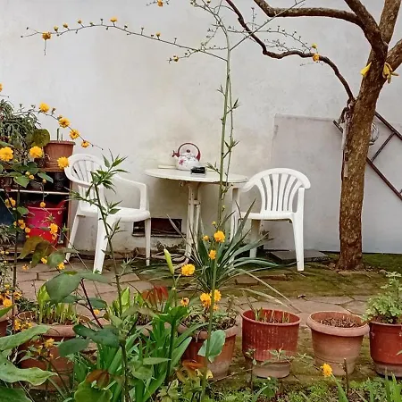 Enki'S Garden-3