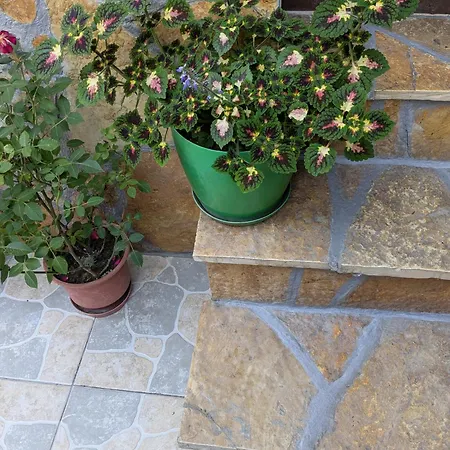 Tomor Shehu Guest House-3