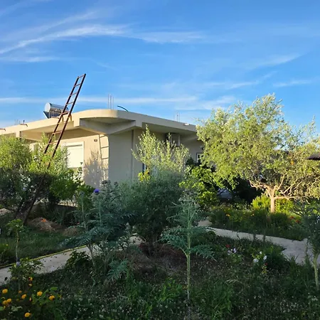 Rey Garden 2-3