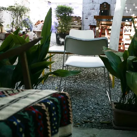 Zig Zag Hostel-3