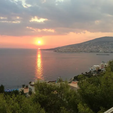 Vila -Te Golja-2