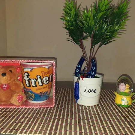 Friendly Apartment-3