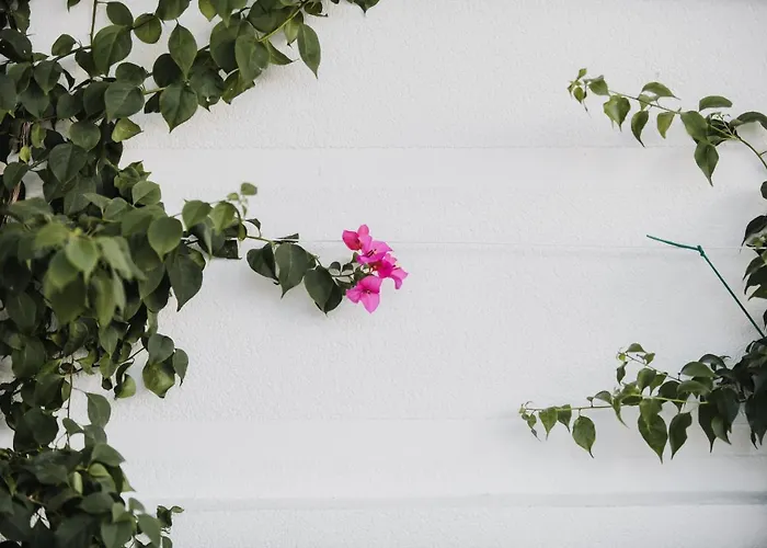 Casino Hotels in Tirana