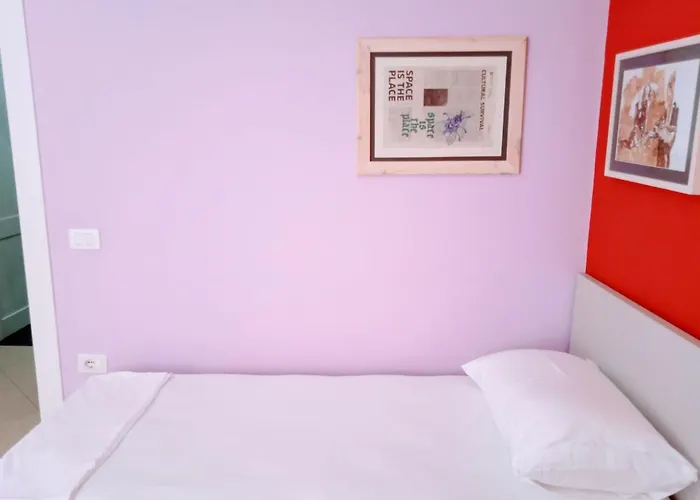 Pet friendly Artist S Apartment Vlore