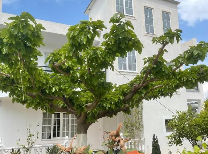 Boutique Villa Denis Ksamil