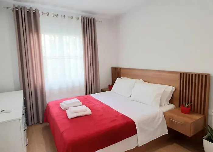 Comfy Apartment- Sunny Balcony Tirana che accetta animali