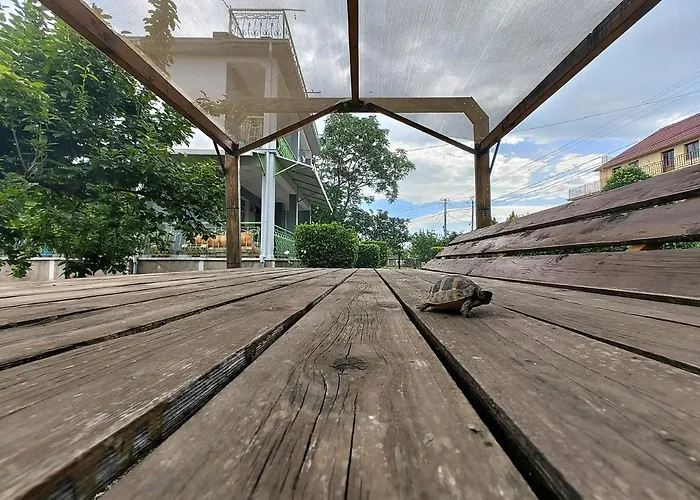 Green Garden Guesthouse Shkoder