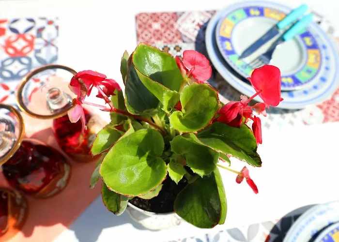 Ulcas Guest Huse Bed & Breakfast Vlore