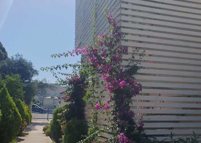 Stella Marina Family Apartment 2 Dhërmi