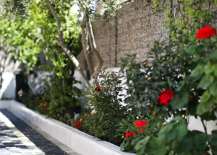 Vila Feliz - Premium Rooms With Free Private Parking Vlore