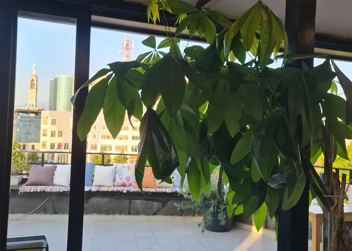 The Rooftop Hostel Shkoder