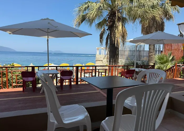 Palmanova Beach Mardok Kanine