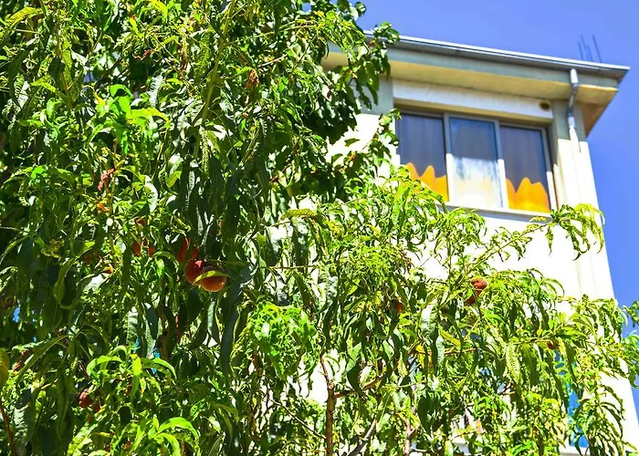 Pet friendly Pemaj Hostel Shkoder