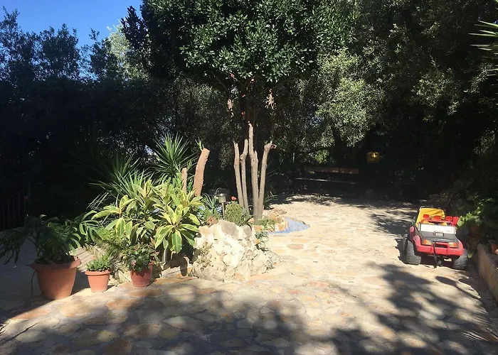 Vila Oliven Vlore